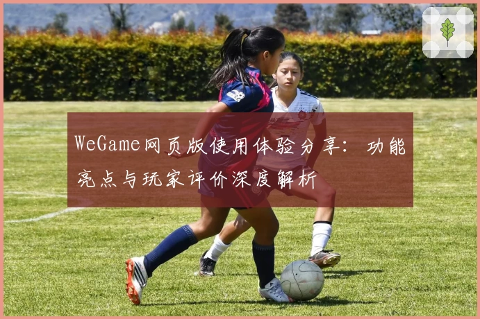 WeGame网页版使用体验分享：功能亮点与玩家评价深度解析