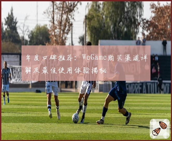 年度口碑推荐：WeGame购买渠道详解及最佳使用体验揭秘